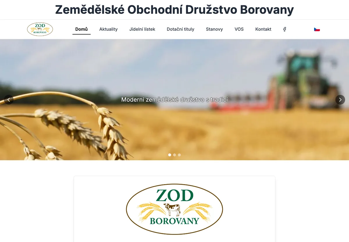 Skutečný náhled webu ZOD Borovany